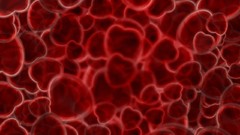 Love Hearts affection