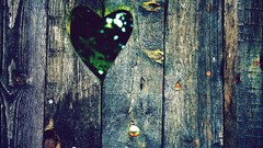 Love Hearts Holes Wood fences