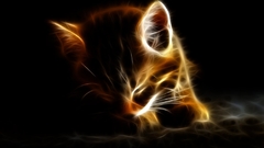 Love high type This bumb Resolution