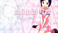 Love hina maehara shinobu