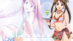 Love hina narusegawa naru