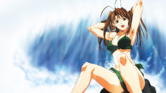 Love hina narusegawa naru