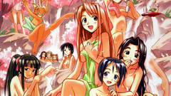 Love hina narusegawa naru