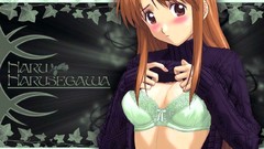 Love hina narusegawa naru