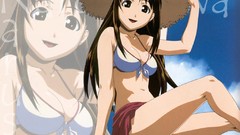 Love hina narusegawa naru