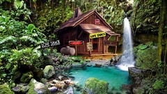 Love houses forests shack digital art