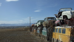 Love lines diagonal The perspective these dscf