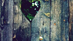 Love love you love quotes