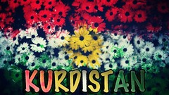 Love Norway Flags sweden Eagles iran Swedish irak norsk 