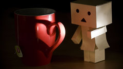 Love Rescue danboard