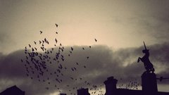 Love The mind nervous