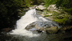 Lower lynncamp cascade