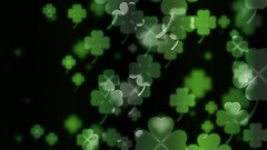 Luck irish four leaf clover Clovers