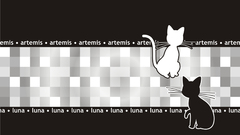 Luna Artemis black white
