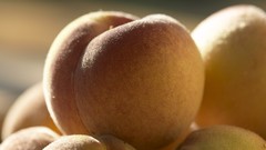 Macro Berries fruits apricots