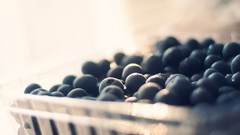 Macro blueberries