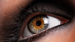 Macro eyes close-up heterochromia eye make-up