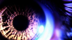 Macro eyes eyelashes pupil