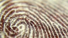 Macro fingerprints