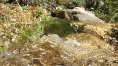 Macro flowing water high