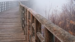 Macro fog close-up The Fog Bridges railings The Bridge