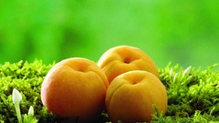 Macro food fruits apricots