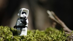 Macro forests stormtroopers lego star wars Legos