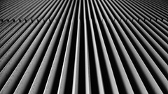 Macro grayscale window blinds