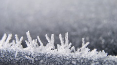 Macro ice crystals