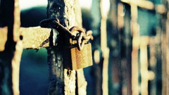 Macro Locks fences depth of field