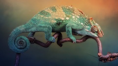 Macro nature Animals cockroach insects Reptiles chameleons 