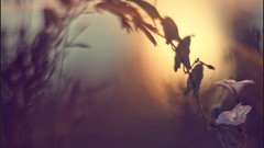 Macro nature close-up Aleksey Yepanchintcev