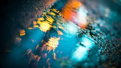 Macro night rain lights asphalt drop close-up puddles bokeh 