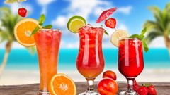 Macro palm nature orange cocktail oranges glasses juice Ed 