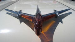 Macro Pontiac Pontiac Firebird Trans Am