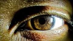 Macro pupil close-up brown eyes