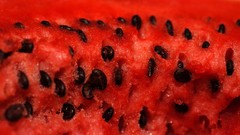Macro red seeds watermelons fruits