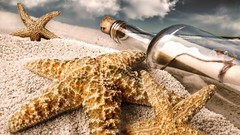 Macro sand starfish Beaches bottles Message in a Bottle