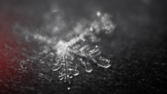 macro snow flakes ice dark