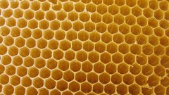 Macro Textures honeycomb white tiger