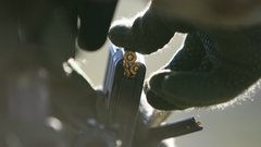 Magazines ammunition