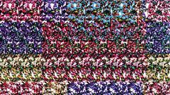 Magic stereogram eyes