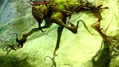 Magic: the gathering artwork Anthony Scott Waters