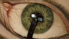 Magic: the gathering mtg