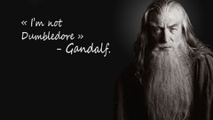 Magician funny harry potter trolling Gandalf Ian McKellen the 