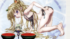 Mahou sensei negima anime