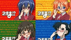 Mahou sensei negima school