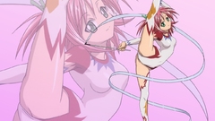 Mahou sensei negima Simple