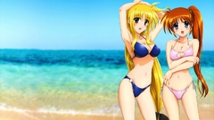 Mahou shoujo lyrical nanoha