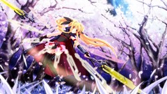 Mahou shoujo lyrical nanoha